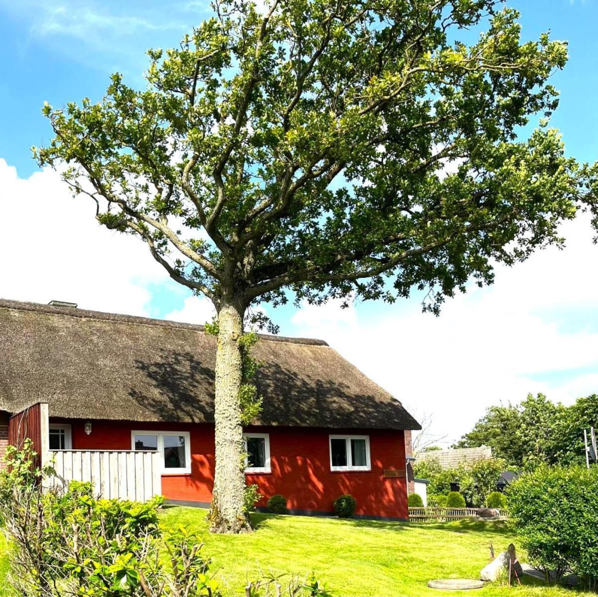 Haus Hanna Dagebüll エクステリア 写真